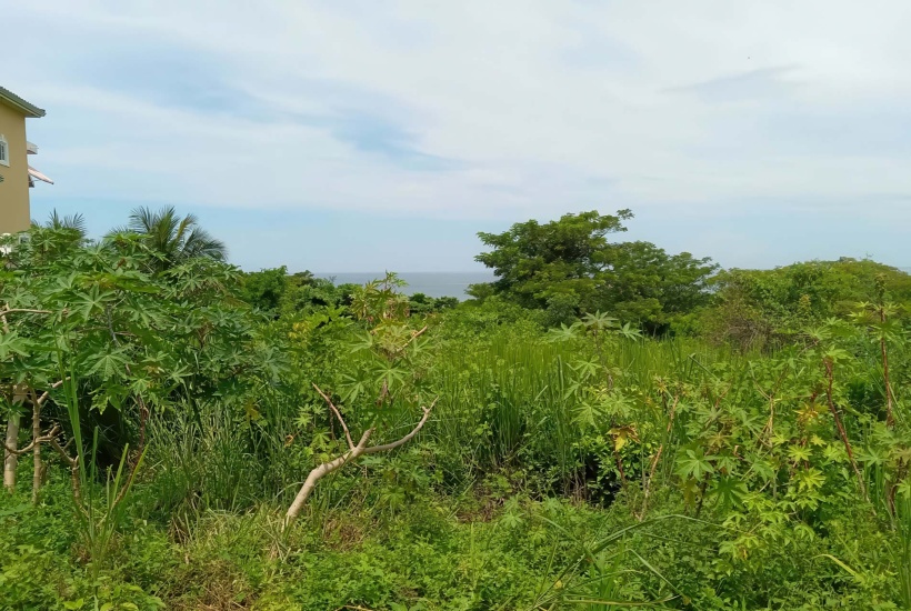 sea-view